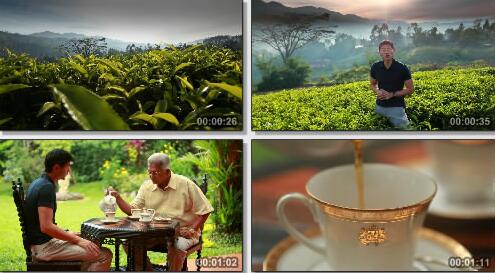 斯里兰卡茶业展示宣传片